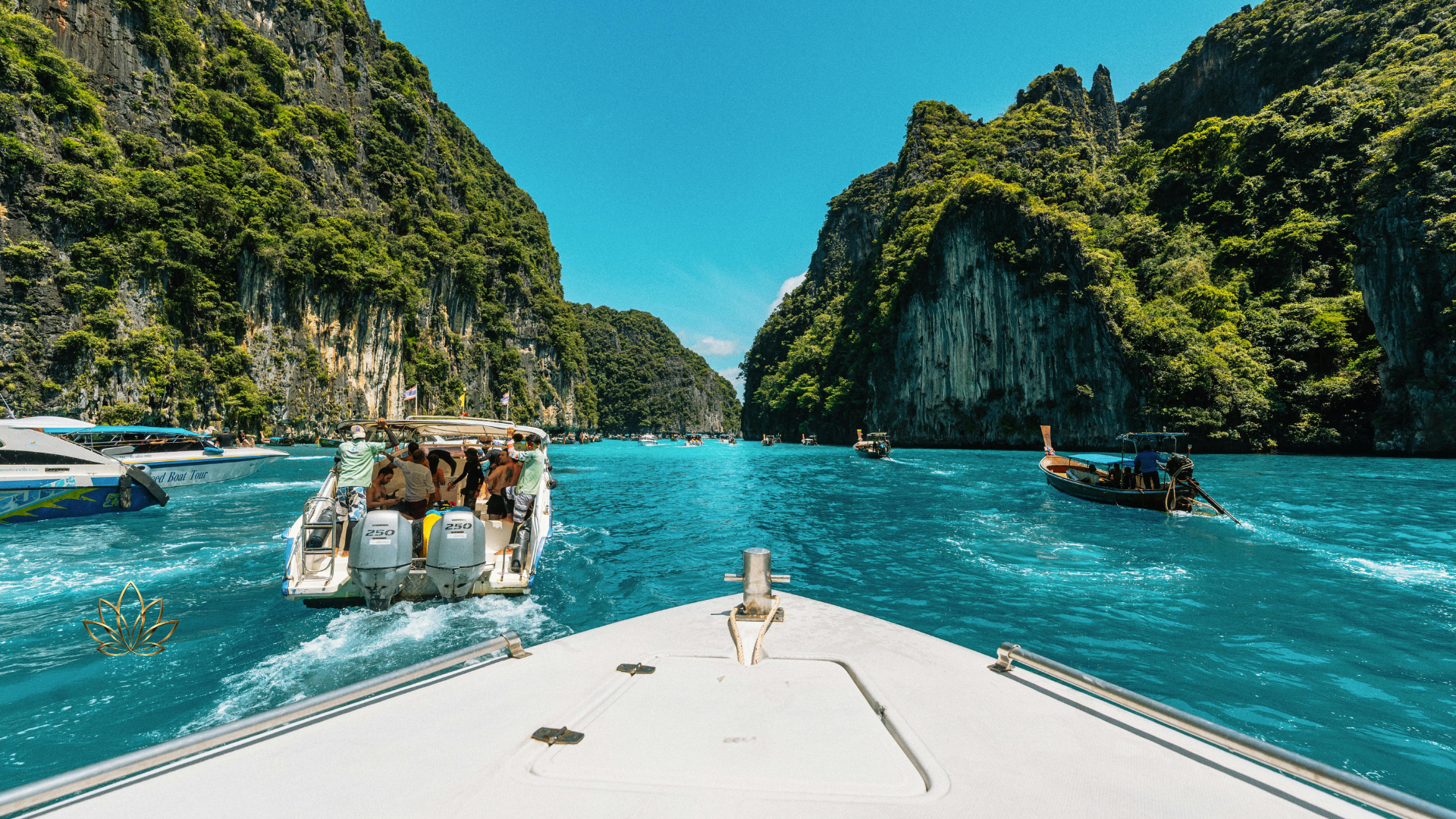 Wellness Retreats